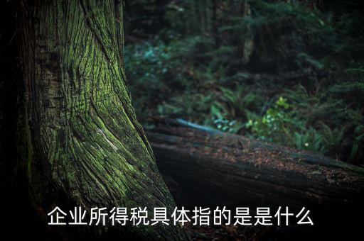 什么是企業(yè)所得，什么是企業(yè)所得稅