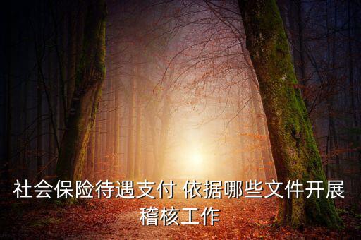聯(lián)合稽查工作應遵循什么，稅務(wù)稽查工作底稿必須包括哪些內(nèi)容