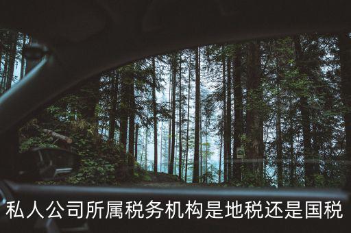 個(gè)人開(kāi)企業(yè)交什么地稅局，私人公司所屬稅務(wù)機(jī)構(gòu)是地稅還是國(guó)稅