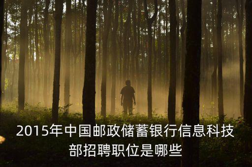 郵政2015主要工作為11333是什么，關(guān)于2015年的郵政郵遞員工作的問題
