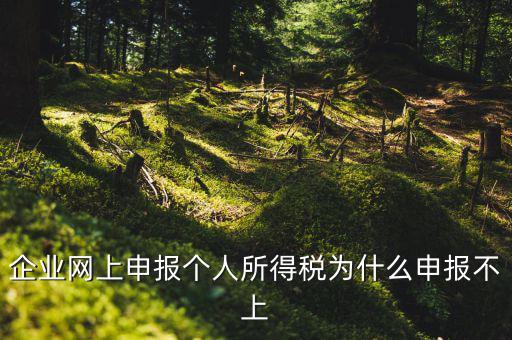為什么稅務(wù)申報(bào)不了了，為什么申報(bào)不上