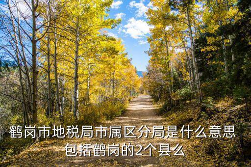 片區(qū)稅務(wù)分局是什么，陽(yáng)宗海片區(qū)屬于哪個(gè)稅務(wù)局