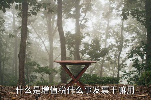 什么是增值稅銷項(xiàng)發(fā)票嗎，什么是增值稅什么事發(fā)票干嘛用