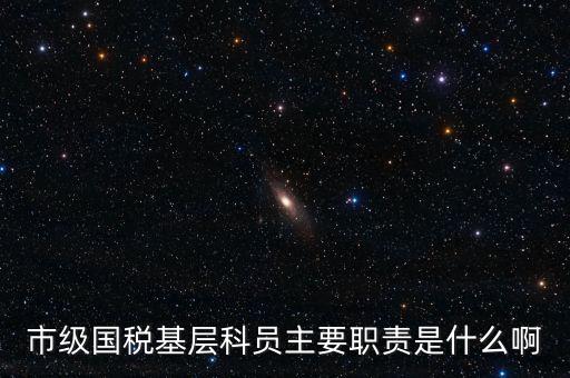 基層國稅辦公室做什么，請問國稅局基層分局科員縣域主要負(fù)責(zé)什么工作
