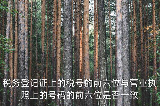 稅號(hào)前六位代表什么，納稅識(shí)別號(hào)前六位數(shù)為140111是什么意思