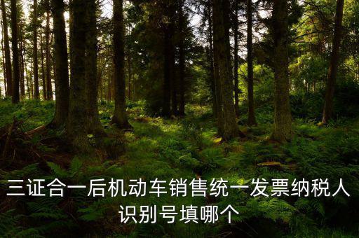 統(tǒng)一納稅識(shí)別號(hào)是什么，三證合一后機(jī)動(dòng)車銷售統(tǒng)一發(fā)票納稅人識(shí)別號(hào)填哪個(gè)