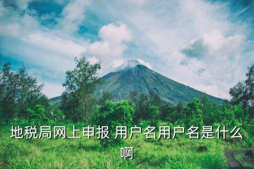 地稅注冊(cè)用戶名是什么意思，地稅的用戶名是什么
