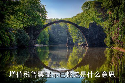 什么是報送報告，什么是報送審計