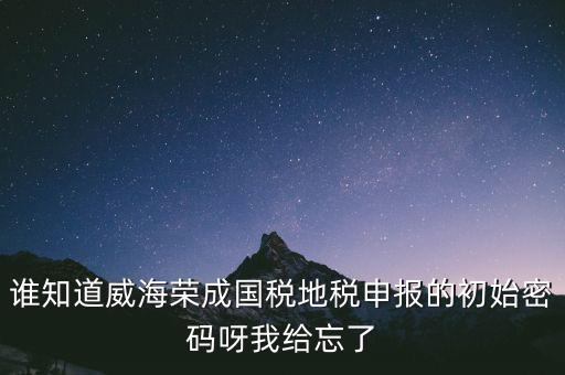 申報(bào)地稅的密碼是什么，徐州地稅網(wǎng)上申報(bào)的初始密碼是多少啊