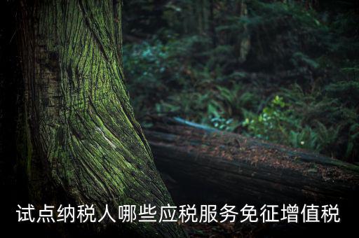 家政服務(wù)免增值稅什么業(yè)務(wù)免，家政服務(wù)企業(yè)的什么收入可以免征增值稅