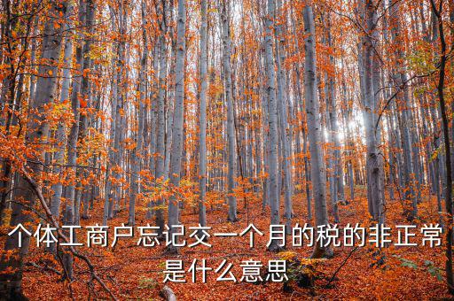 個(gè)體工商戶(hù)忘記交一個(gè)月的稅的非正常是什么意思