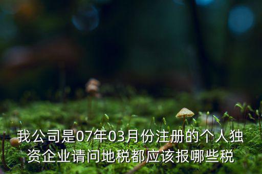 我公司是07年03月份注冊(cè)的個(gè)人獨(dú)資企業(yè)請(qǐng)問地稅都應(yīng)該報(bào)哪些稅