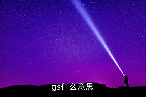 什么是gs系統(tǒng)，gs什么意思
