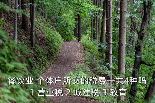 個(gè)體餐飲業(yè)交什么稅，餐飲業(yè) 個(gè)體戶所交的稅費(fèi)一共4種嗎 1 營(yíng)業(yè)稅 2 城建稅 3 教育