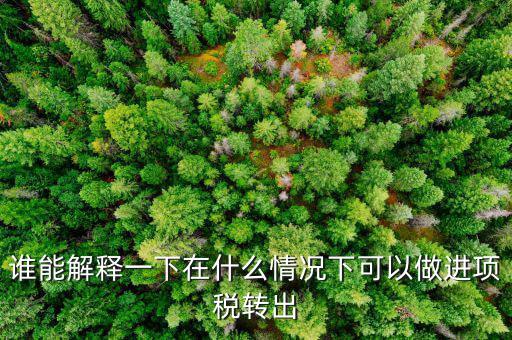 誰能解釋一下在什么情況下可以做進項稅轉(zhuǎn)出