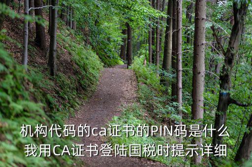 機(jī)構(gòu)代碼的ca證書的PIN碼是什么我用CA證書登陸國(guó)稅時(shí)提示詳細(xì)