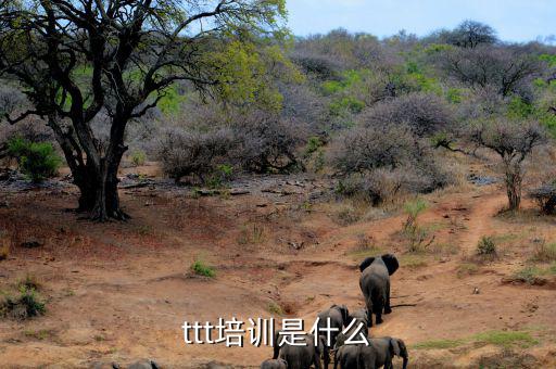 納稅人學堂培訓(xùn)干什么，去各種培訓(xùn)班做老師有前途么