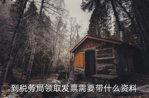 日常領購發(fā)票需要帶什么，到稅務局領取發(fā)票需要帶什么資料
