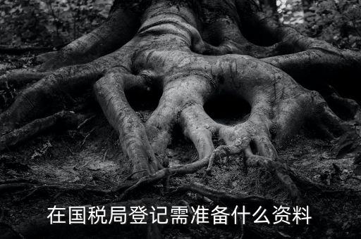 稅務登記備什么，在國稅局登記需準備什么資料