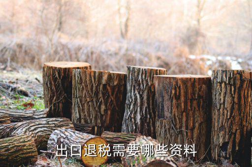 外貿(mào)退稅需要什么資料，出口退稅需要哪些資料