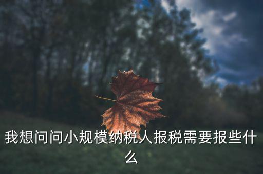 小規(guī)模國稅申報些什么，小規(guī)模納稅人國稅需要報什么資料