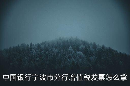 寧波國稅過發(fā)票要帶什么，浙江地區(qū)公司首次拿發(fā)票去國稅局需要帶什么證件