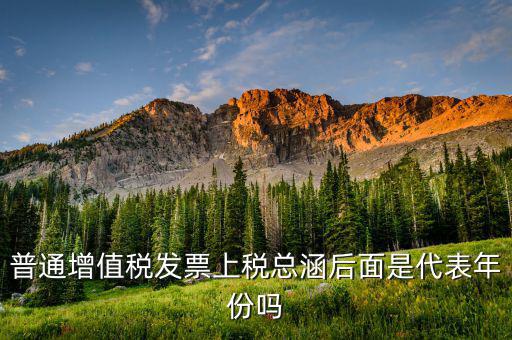 稅總涵2016代表什么意思，稅總財(cái)行便函201616號(hào)保險(xiǎn)公司開(kāi)具保險(xiǎn)發(fā)票車(chē)船稅只在備注
