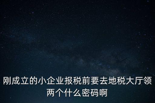 繳稅服務(wù)廳口令輸什么，剛成立的小企業(yè)報(bào)稅前要去地稅大廳領(lǐng)兩個(gè)什么密碼啊
