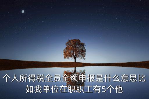 個人所得稅全員全額申報(bào)是什么意思比如我單位在職職工有5個他