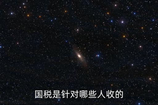 國稅都有什么人才庫，國稅有哪幾種