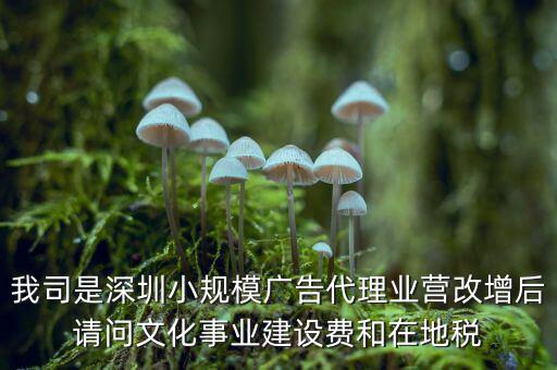我司是深圳小規(guī)模廣告代理業(yè)營(yíng)改增后請(qǐng)問文化事業(yè)建設(shè)費(fèi)和在地稅