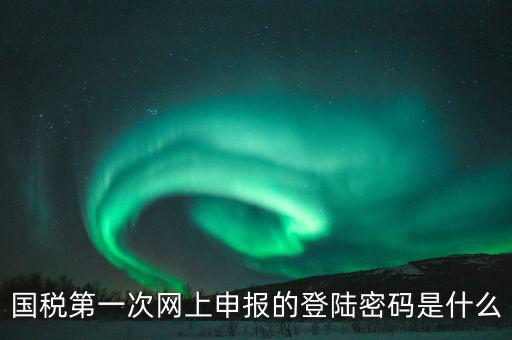 杭州國稅申報密碼是什么意思，國稅第一次網(wǎng)上申報的登陸密碼是什么