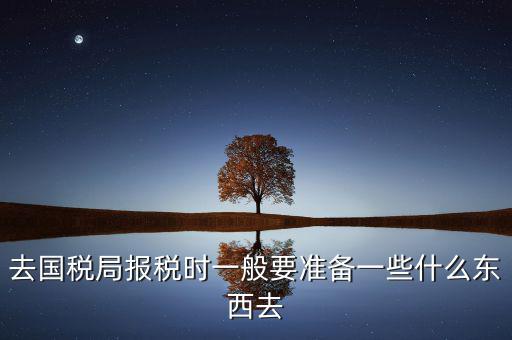 去國(guó)稅局都是帶什么東西，去國(guó)稅定稅要帶哪些東西啊我暈倒了以前從來(lái)沒(méi)定過(guò)