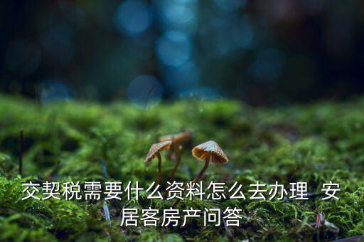 交契稅需要什么資料怎么去辦理  安居客房產(chǎn)問(wèn)答
