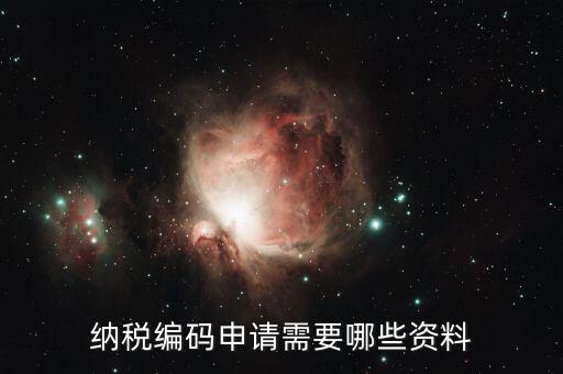 預(yù)約繳稅號需提供什么資料，納稅編碼申請需要哪些資料