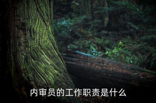 督察內(nèi)審是什么工作，內(nèi)審監(jiān)察主要工作職能