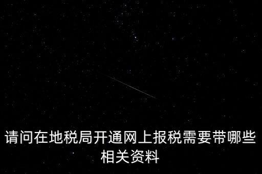 網(wǎng)上申報地稅需要什么，一般納稅人網(wǎng)上申報地稅上要報哪些稅
