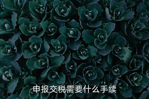 辦理稅務(wù)需要什么手續(xù)，稅務(wù)登記 代辦需要什么手續(xù)
