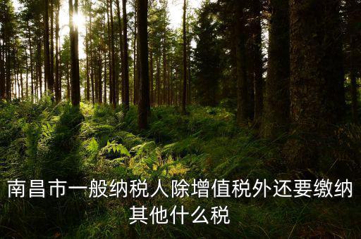 南昌縣國稅局交什么稅，南昌縣的服裝店國稅是多少