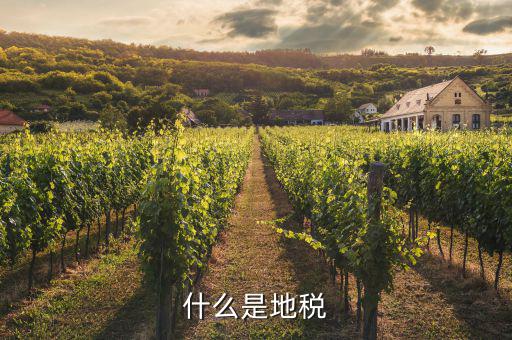 地稅和什么有關(guān)，什么是地稅