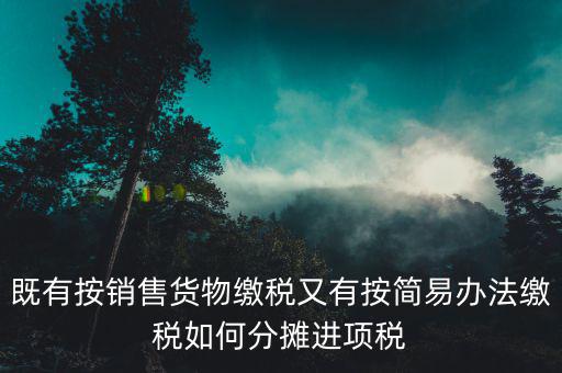 進(jìn)項(xiàng)稅分?jǐn)偸鞘裁匆馑?，既有按銷售貨物繳稅又有按簡(jiǎn)易辦法繳稅如何分?jǐn)傔M(jìn)項(xiàng)稅