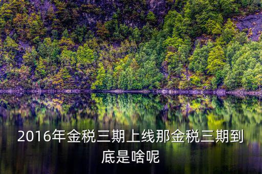 金三稅是指什么，金稅三期是什么意思