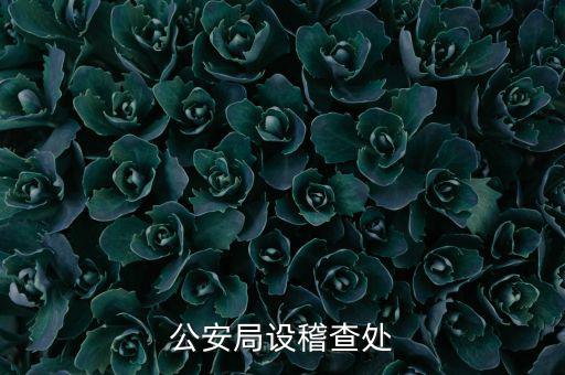 稽查處是什么部門(mén)，公安局設(shè)稽查處