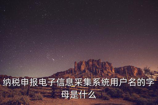 納稅人用戶編號是什么，地稅的用戶名是什么