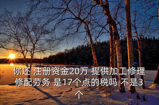 你還 注冊資金20萬 提供加工修理修配勞務(wù) 是17個(gè)點(diǎn)的稅嗎 不是3個(gè)