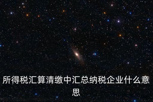 什么匯總納稅企業(yè)所得稅，關(guān)于企業(yè)所得稅匯總繳納