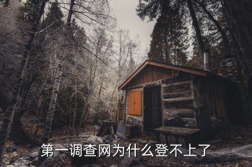 稅收調(diào)查為什么登陸不進(jìn)去，為什么北京地稅局納稅申報(bào)登陸不了