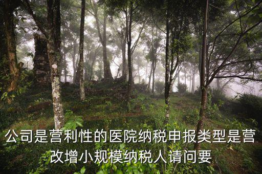 營(yíng)改增醫(yī)院用什么發(fā)票，營(yíng)改增認(rèn)定的一般納稅人使用什么發(fā)票