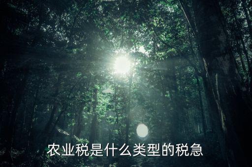 農(nóng)業(yè)稅屬于什么稅種，農(nóng)業(yè)稅就是人口稅嗎