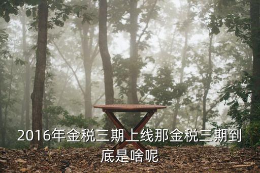 金稅三期具體什么意思，金稅三期是什么意思